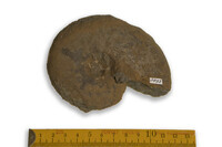 F 03893
<br/>
<br/>
<em></em>